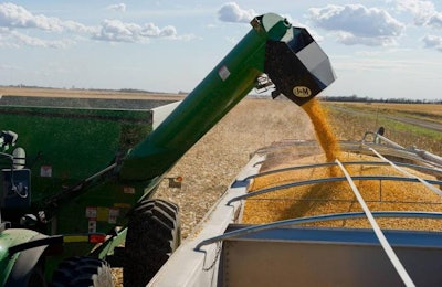 corn-harvest