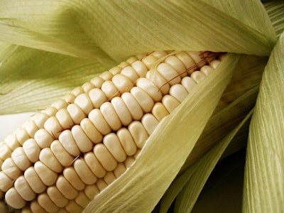 corn1