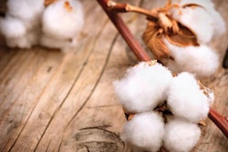 cotton-wood-fibers-in-animal-feed
