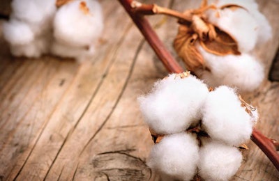 cotton-wood-fibers-in-animal-feed