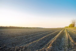 Plowed Field After Cultivation For Planting Agricultural Crops.