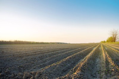 Plowed Field After Cultivation For Planting Agricultural Crops.