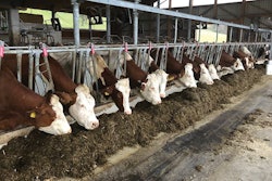 dairy-cow-feed-additives