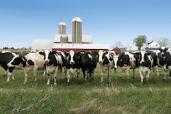 dairy-cow-metabolic-disorders-1602DairyNutrition