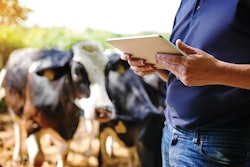 dairy-precision-nutrition