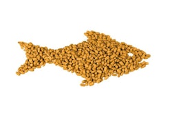 Dry Food In The Form Of Fish