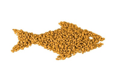 Dry Food In The Form Of Fish