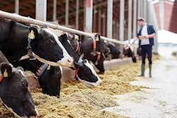 enzymes-in-dairy-feed