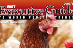 execguide2