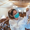 extrusion-improves-poultry-health