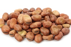 fava-beans