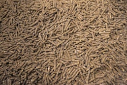 feed-pellets-2-AA