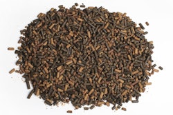 finished-animal-feed-testing
