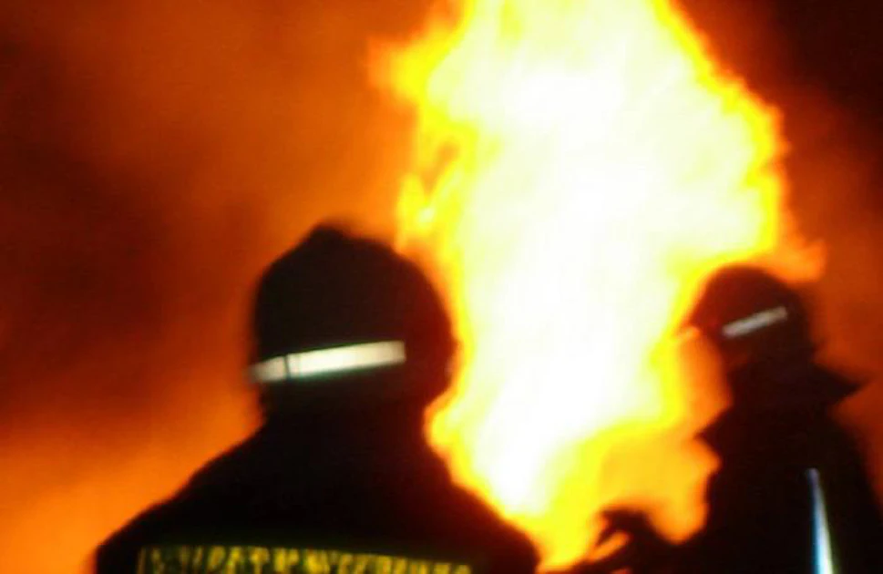 Pif Fire BASF plant fire limits vitamin availability | Feed Strategy
