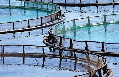 fish-farm-in-the-sea