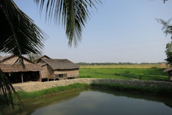 fishing-myanmar-rice