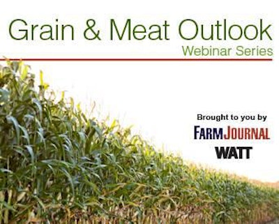 grain-meat-outlook-1307FarmJournal_lightbox