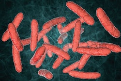gut-microbiota-probiotics