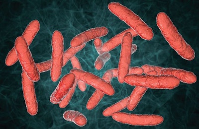 gut-microbiota-probiotics