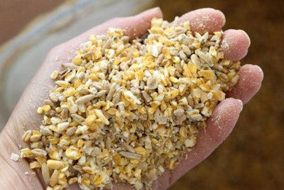 handful-of-scratch-grains