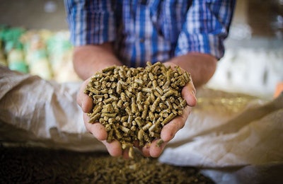 hands-holding-animal-feed