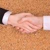 handshake-wheat
