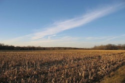 harvested-corn-field