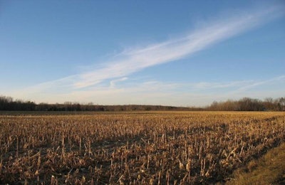 harvested-corn-field
