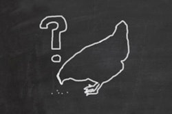 how-safe-for-poultry-1602