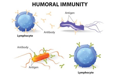 humoral-immunity-threonine-pig-gut-health-1510