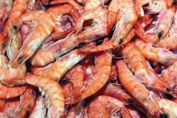 live-shrimp-1307FMshrimp