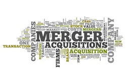 Word Cloud Merger & Acquisitions
