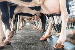 milk-production-dairy-nutrition