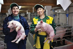 modern-piglet-breeding
