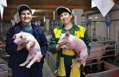 modern-piglet-breeding