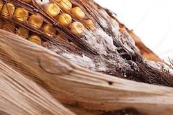 multi-mycotoxins-risks-1504FIMycotoxins