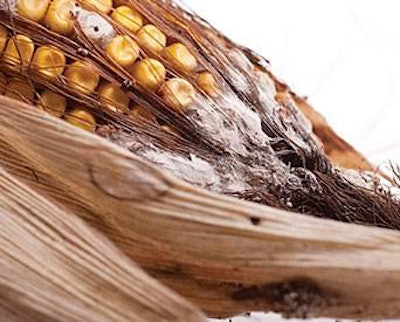 multi-mycotoxins-risks-1504FIMycotoxins