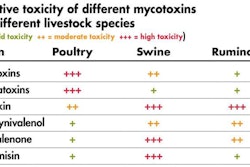 mycotoxin-toxicity-1512PImycotoxinpoultry11