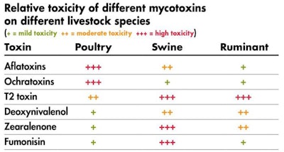 mycotoxin-toxicity-1512PImycotoxinpoultry11