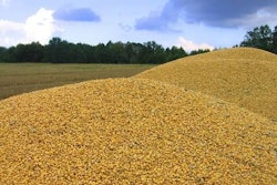 mycotoxin