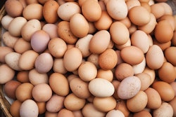 organic-EU-laying-hens