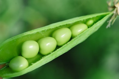 Beautiful Close Up Of Green Fresh Peas And Pea Pods. Healthy Foo