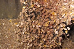 pellets-cracked-corn-mixed-grains-1511