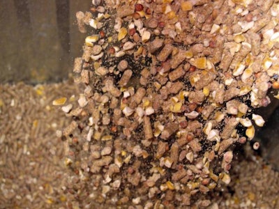 pellets-cracked-corn-mixed-grains-1511