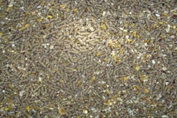 pellets-grains