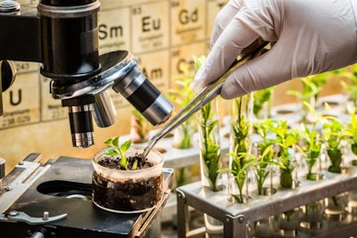 plants-in-lab