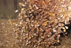 poultry-feed