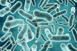 probiotics-support-gut-health