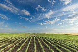 protein-availability-challenges-animal-feed-industry