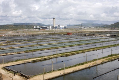 Worm Farm, Aberavon